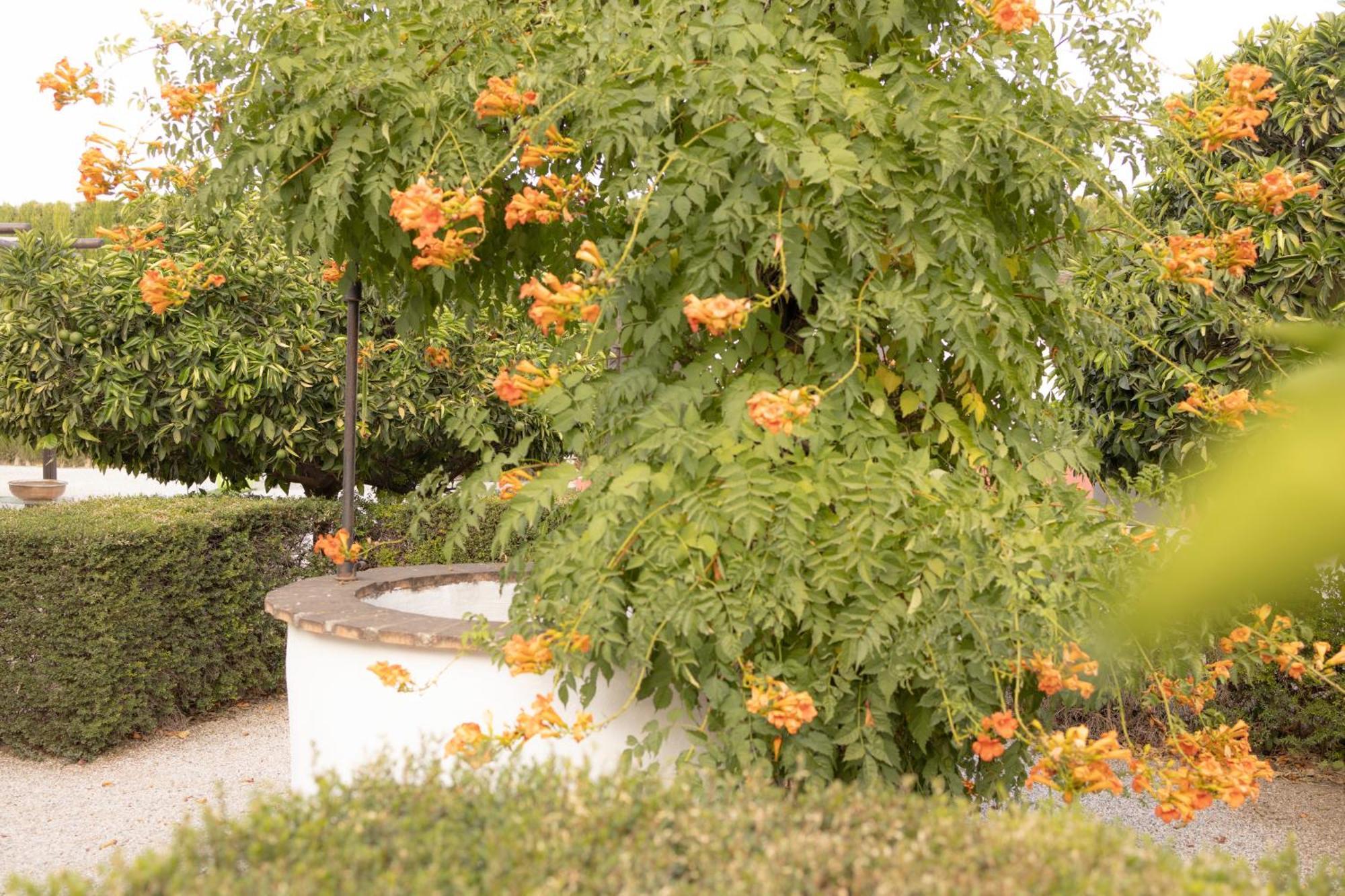 La Cuadra, Finca A Los Pies De Sierra Nevada, A 10 Minutos Del Centro, Piscina, Jardin, Barbacoa La Zubia  Buitenkant foto