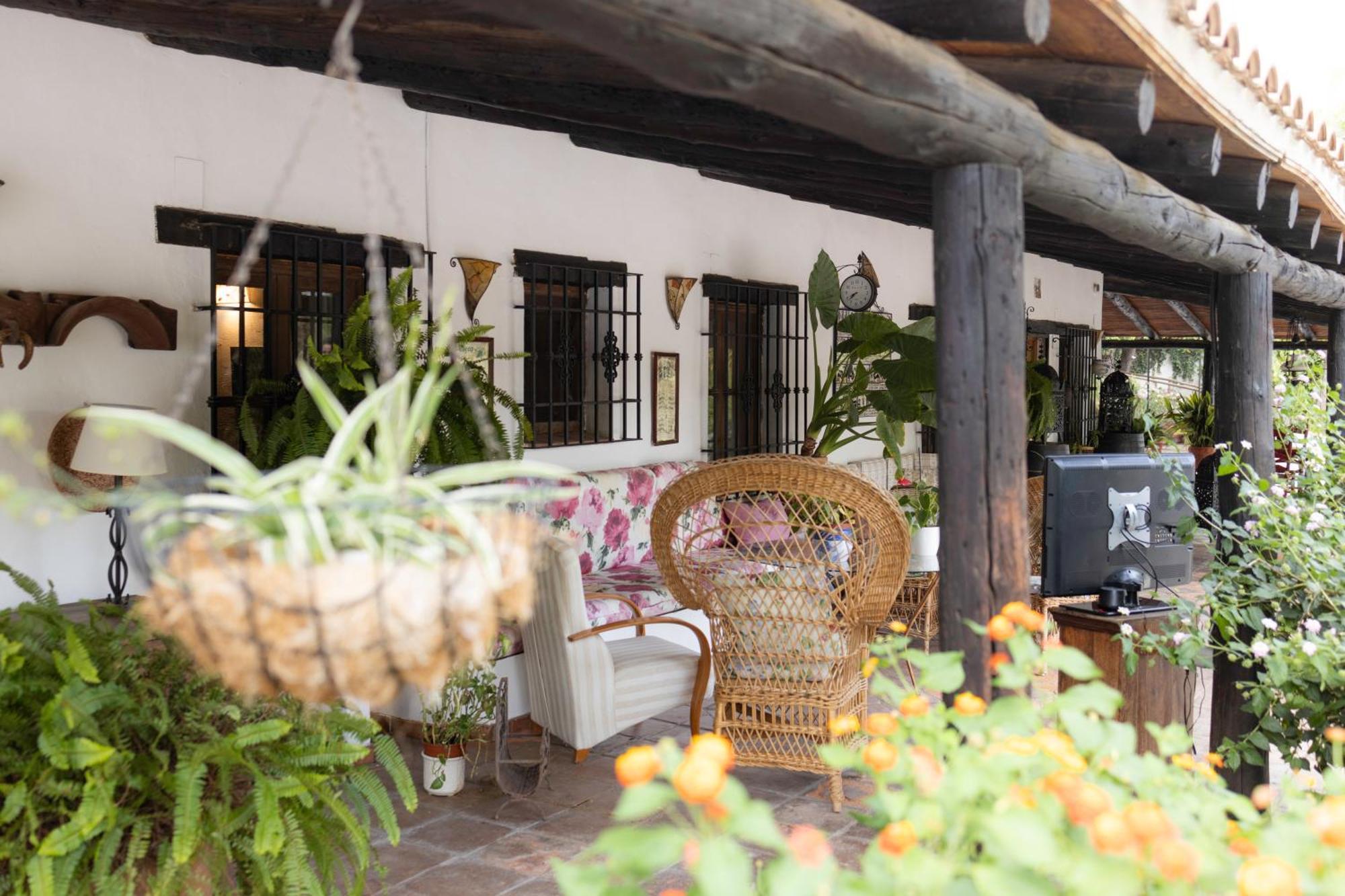 La Cuadra, Finca A Los Pies De Sierra Nevada, A 10 Minutos Del Centro, Piscina, Jardin, Barbacoa La Zubia  Buitenkant foto
