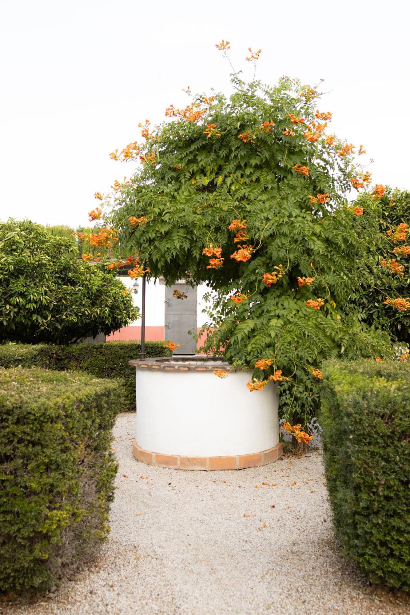 La Cuadra, Finca A Los Pies De Sierra Nevada, A 10 Minutos Del Centro, Piscina, Jardin, Barbacoa La Zubia  Buitenkant foto